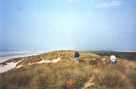 Oregon Dunes State Park